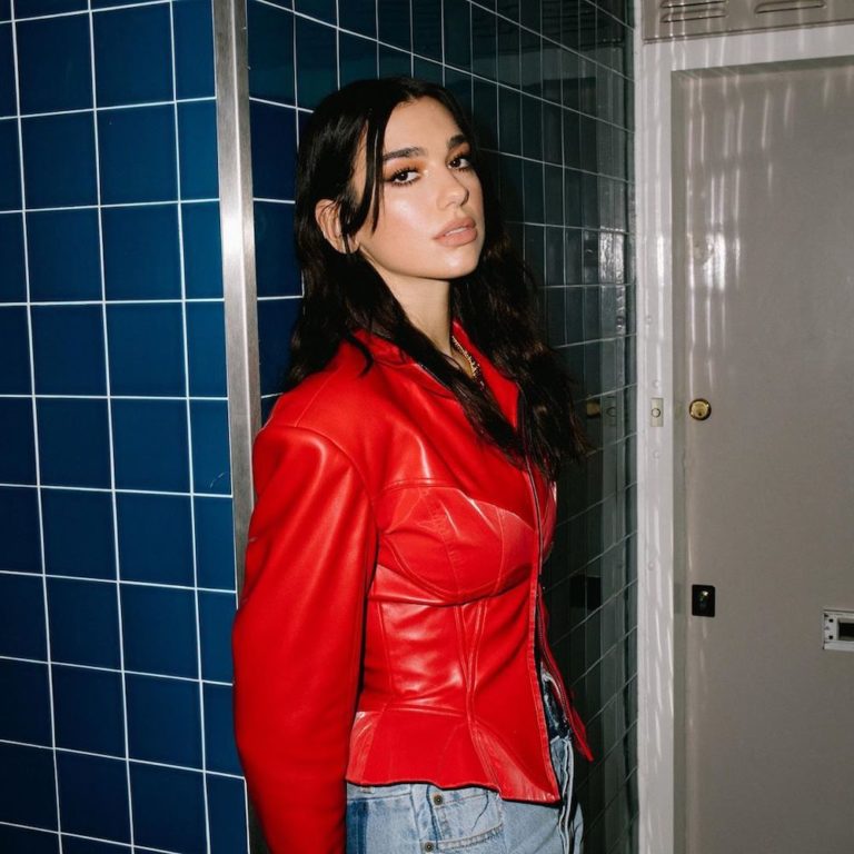 DUA LIPA en DIDU dans le clip FEVER feat. ANGELE