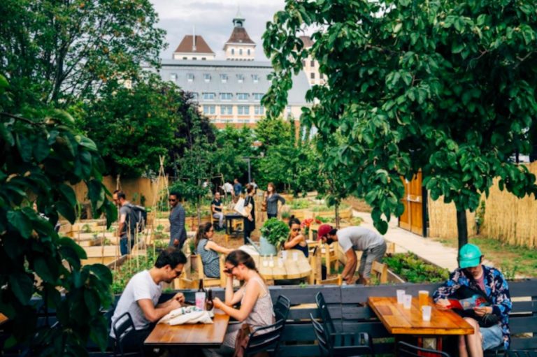 Jardin21, réouverture de la friche végétale le 21 mai 2021